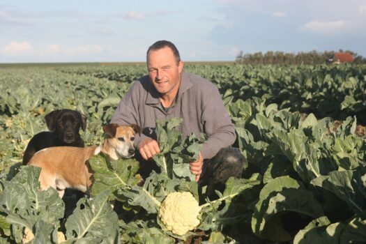 Beroemde Franse schoonheid wordt Friese Bloemkool lekkernij