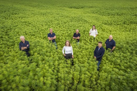 Van WijnenGorredeijk, Hempflax, Kingspan en Greendutch